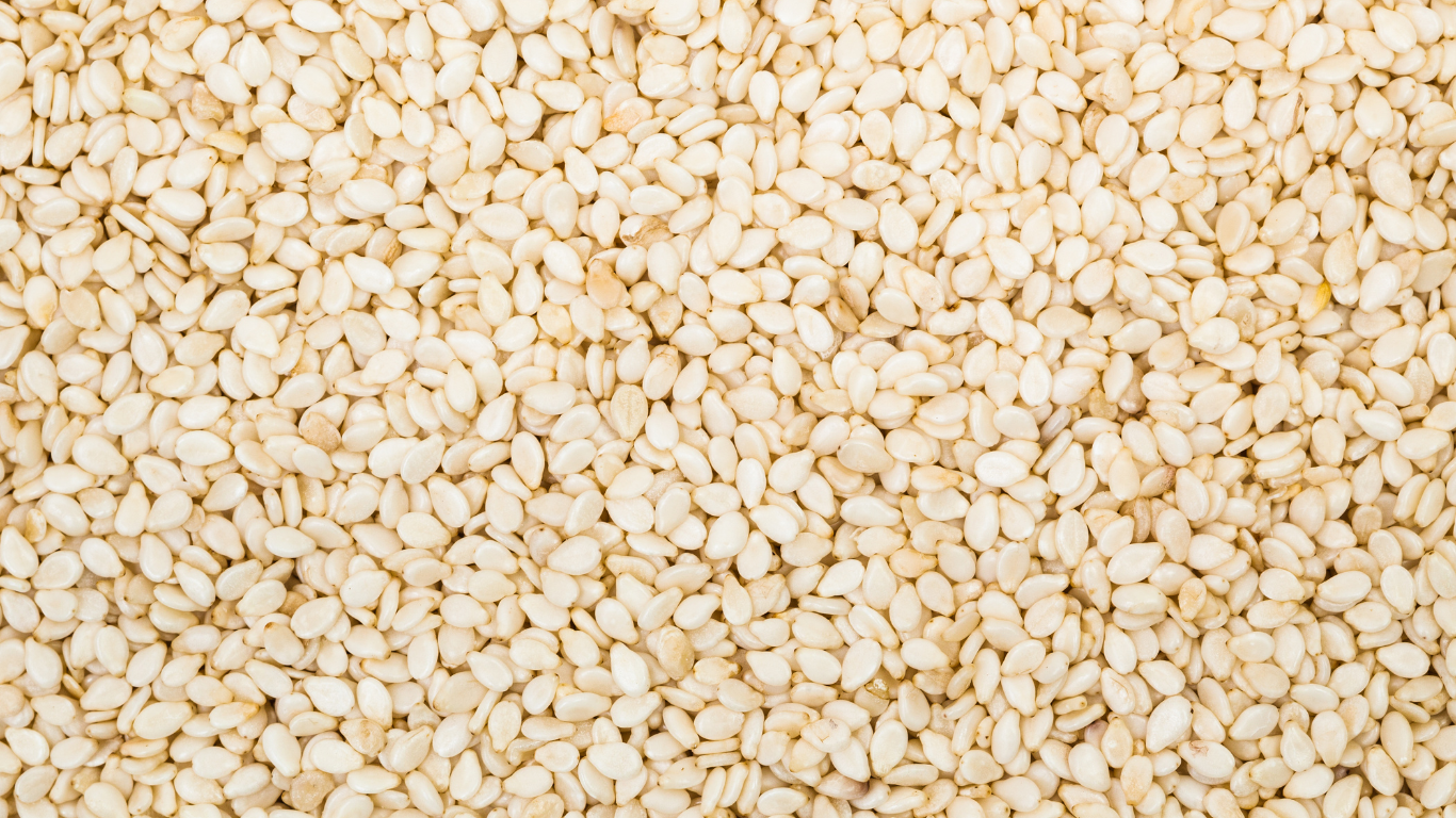 Sesame Seeds Exporter From India