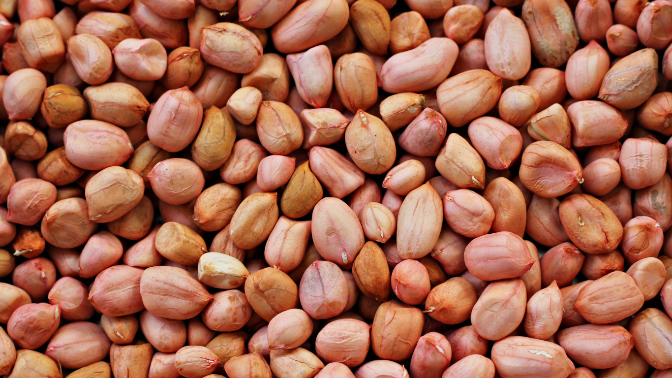 Premium Export Quality Groundnut