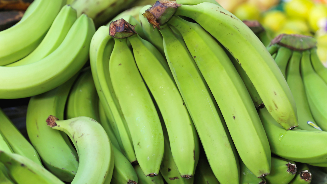 Banana Exporter From India