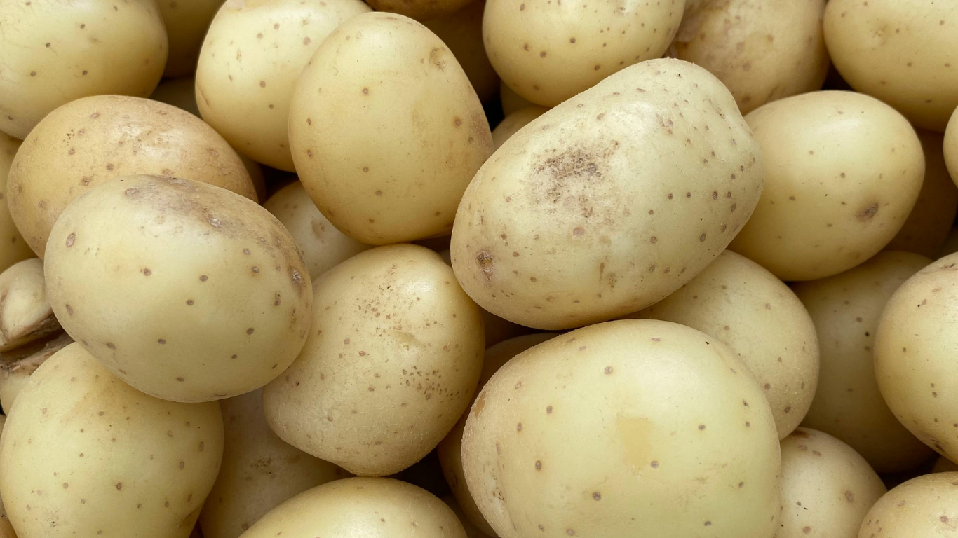Fresh Potato Exporter From India