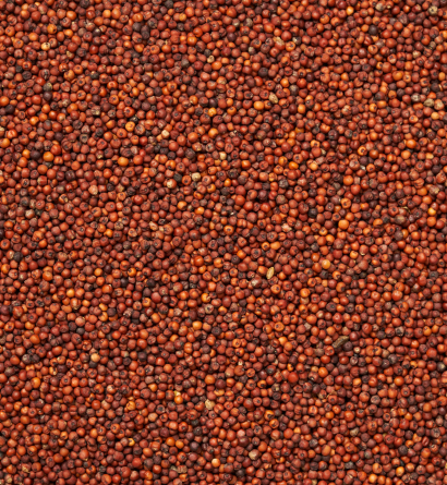 Wheat Exporter